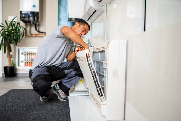 Best Home Air Vent Cleaning  in Sanborn, IA